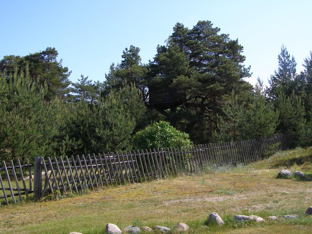 Treimani Rannamaja Villa Exterior foto